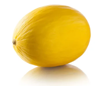 Yellow_mellon-1242x1190